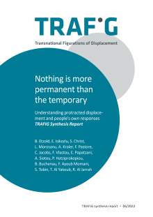 TRAFIG Synthesis report